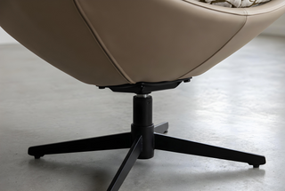 Canopy Chair