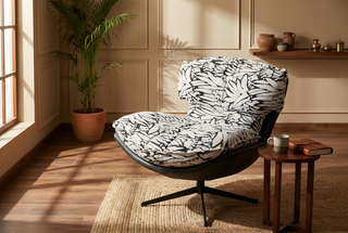 Canopy Chair