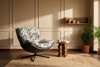 Canopy Chair